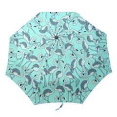 Flemish 3386571 960 720 Folding Umbrellas by vintage2030