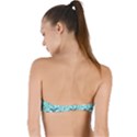 Flemish 3386571 960 720 Twist Bandeau Bikini Top View2