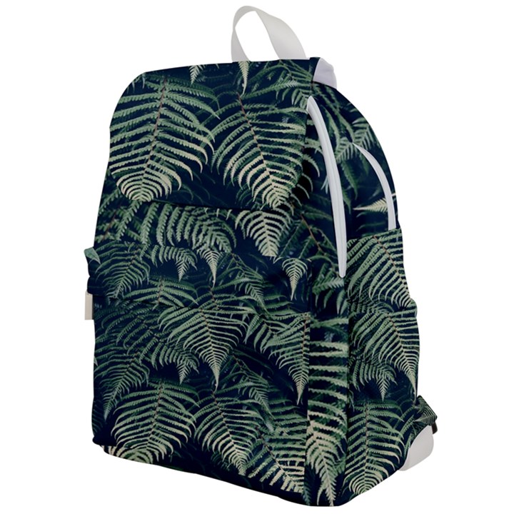 Nature 605506 960 720 Top Flap Backpack