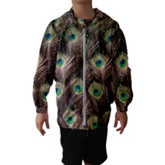 Bird 4099645 960 720 Kids  Hooded Windbreaker