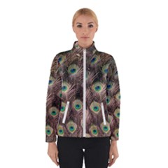 Bird 4099645 960 720 Winter Jacket