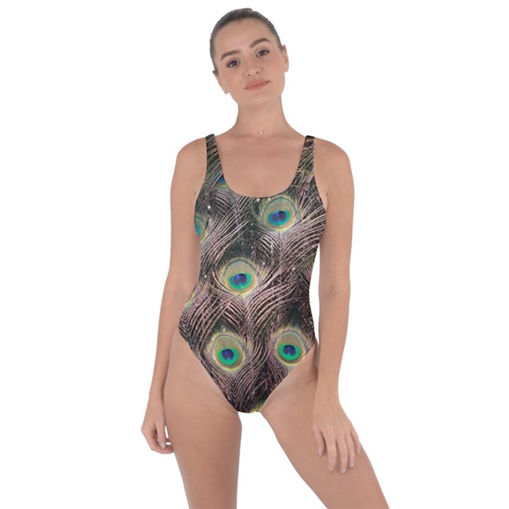 Bird 4099645 960 720 Bring Sexy Back Swimsuit