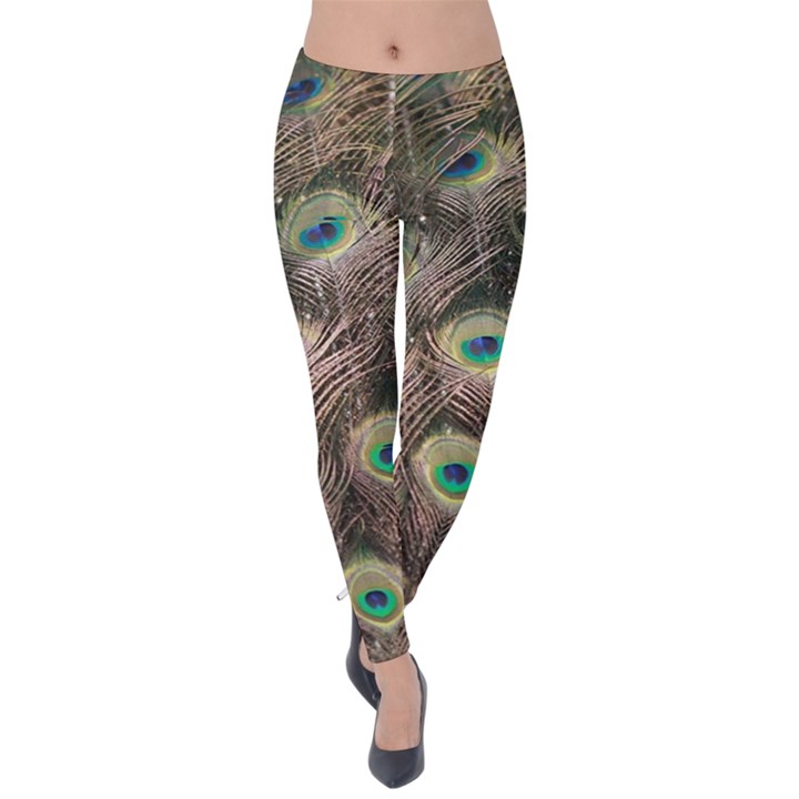 Bird 4099645 960 720 Velvet Leggings