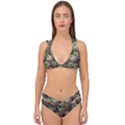 Bird 4099645 960 720 Double Strap Halter Bikini Set View1