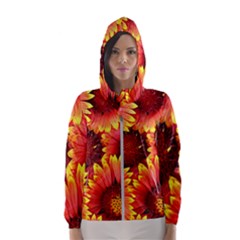 Background 1655938 960 720 Women s Hooded Windbreaker