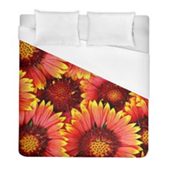 Background 1655938 960 720 Duvet Cover (full/ Double Size)