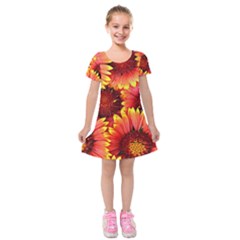 Background 1655938 960 720 Kids  Short Sleeve Velvet Dress