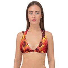 Background 1655938 960 720 Double Strap Halter Bikini Top