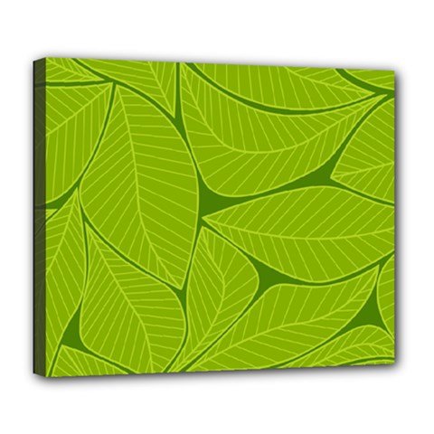 Pattern Leaves Walnut Nature Deluxe Canvas 24  X 20  (stretched) by Vaneshart