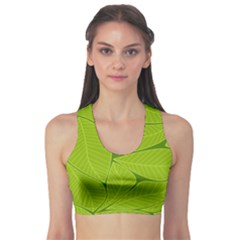 Pattern Leaves Walnut Nature Sports Bra by Vaneshart