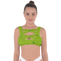 Pattern Leaves Walnut Nature Bandaged Up Bikini Top