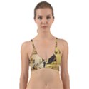 Anubis The Egyptian God Pattern Wrap Around Bikini Top View1