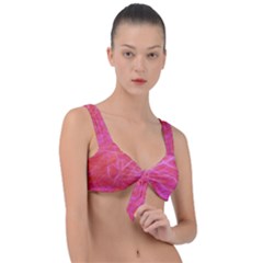 Background Abstract Texture Front Tie Bikini Top