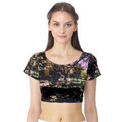 Hot Day In Dallas 3 Short Sleeve Crop Top by bestdesignintheworld