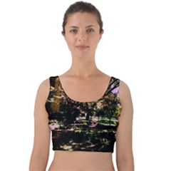 Hot Day In Dallas 3 Velvet Crop Top by bestdesignintheworld