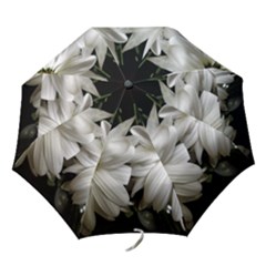 Daisies Folding Umbrellas by bestdesignintheworld