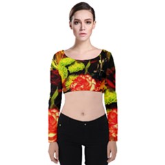 Flowers 1 1 Velvet Long Sleeve Crop Top by bestdesignintheworld