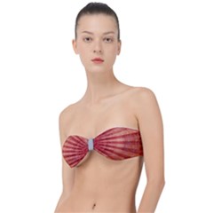 Shell Classic Bandeau Bikini Top  by walala