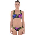 Botany  Cross Back Hipster Bikini Set View1