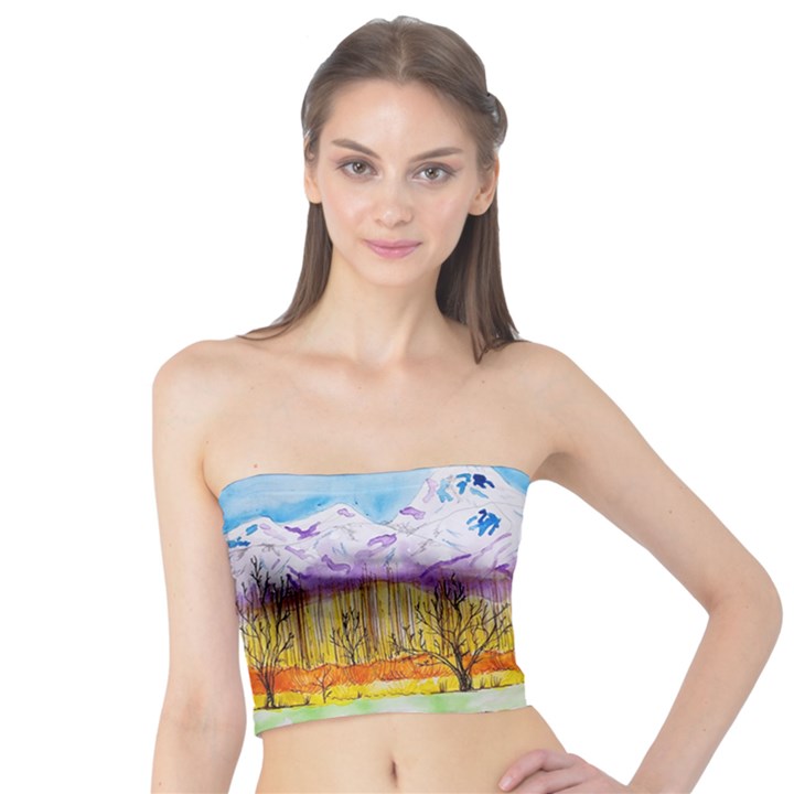 Mendoza Argentina Field Nature Tube Top