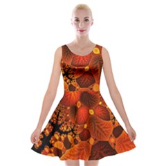 Leaf Autumn Nature Background Velvet Skater Dress