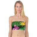 Tropical Greens Bandeau Top View1