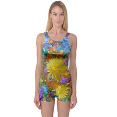 Apo Flower Power  One Piece Boyleg Swimsuit by WolfepawFractals