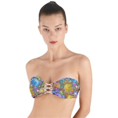 Apo Flower Power  Twist Bandeau Bikini Top by WolfepawFractals