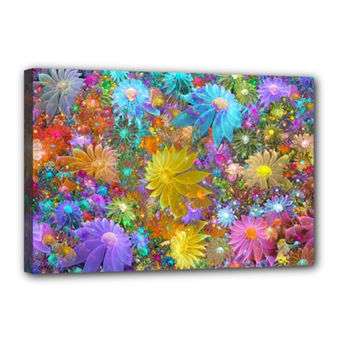 Apo Flower Power Canvas 18  X 12  (stretched) by WolfepawFractals