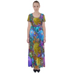 Apo Flower Power High Waist Short Sleeve Maxi Dress by WolfepawFractals