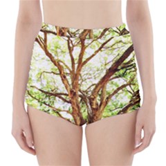 Hot Day In Dallas 14 High-waisted Bikini Bottoms by bestdesignintheworld