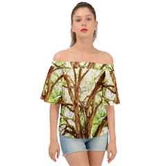 Hot Day In Dallas 14 Off Shoulder Short Sleeve Top