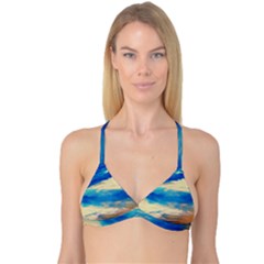 Skydiving 1 1 Reversible Tri Bikini Top