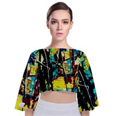 Dance Of Oil Towers 1 1 Tie Back Butterfly Sleeve Chiffon Top