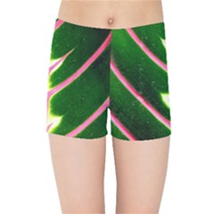 Exotic Green Leaf Kids  Sports Shorts by Vaneshart