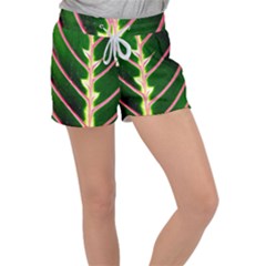 Exotic Green Leaf Women s Velour Lounge Shorts by Vaneshart