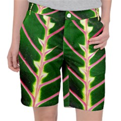 Exotic Green Leaf Pocket Shorts by Vaneshart