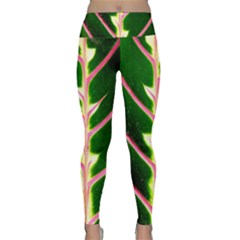 Exotic Green Leaf Lightweight Velour Classic Yoga Leggings by Vaneshart