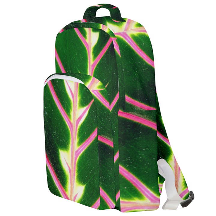 Exotic Green Leaf Double Compartment Backpack