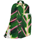 Exotic Green Leaf Double Compartment Backpack View2