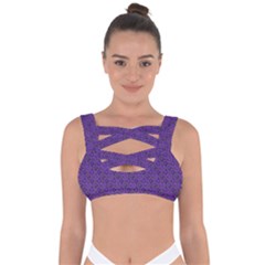 Iris Retrowheel Bandaged Up Bikini Top