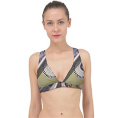 Boat 1 1 Classic Banded Bikini Top