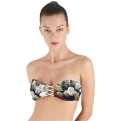 Tulips 1 3 Twist Bandeau Bikini Top