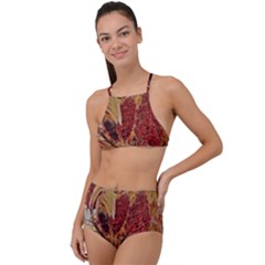 Autumn Colors Leaf Leaves Brown Red High Waist Tankini Set by yoursparklingshop