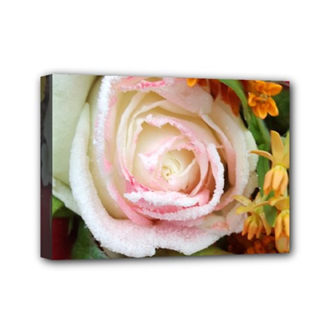 Floral Bouquet Orange Pink Rose Mini Canvas 7  X 5  (stretched) by yoursparklingshop