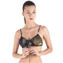 15667039605783656197414003375191 Tie Up Cut Bikini Top View1