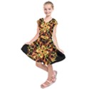 Ablaze Kids  Short Sleeve Dress View1