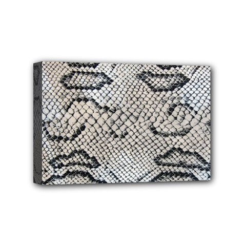 Snake Leather Mini Canvas 6  X 4  (stretched) by skindeep