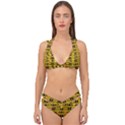 RBY-100 Double Strap Halter Bikini Set View1