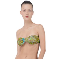 Texture Abstract Background Colors Classic Bandeau Bikini Top 